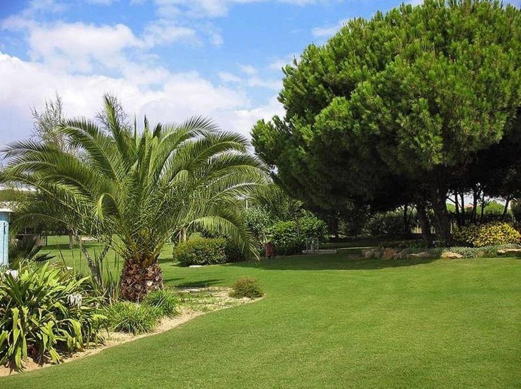 Sunny Apartment Al-Sakia, Quarteira, Vilamoura Værelse billede